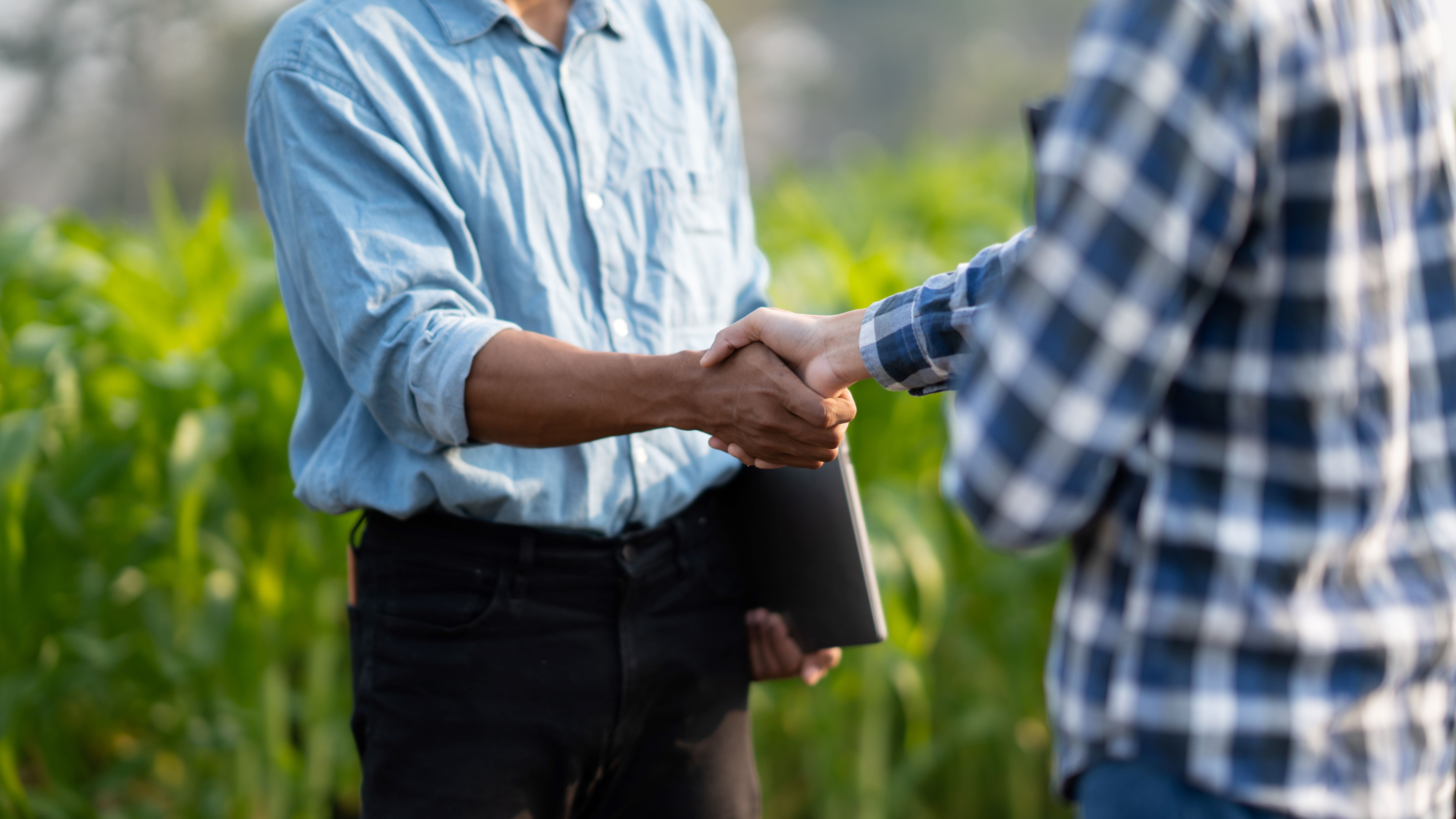 Close up of two people shaking hands in a field