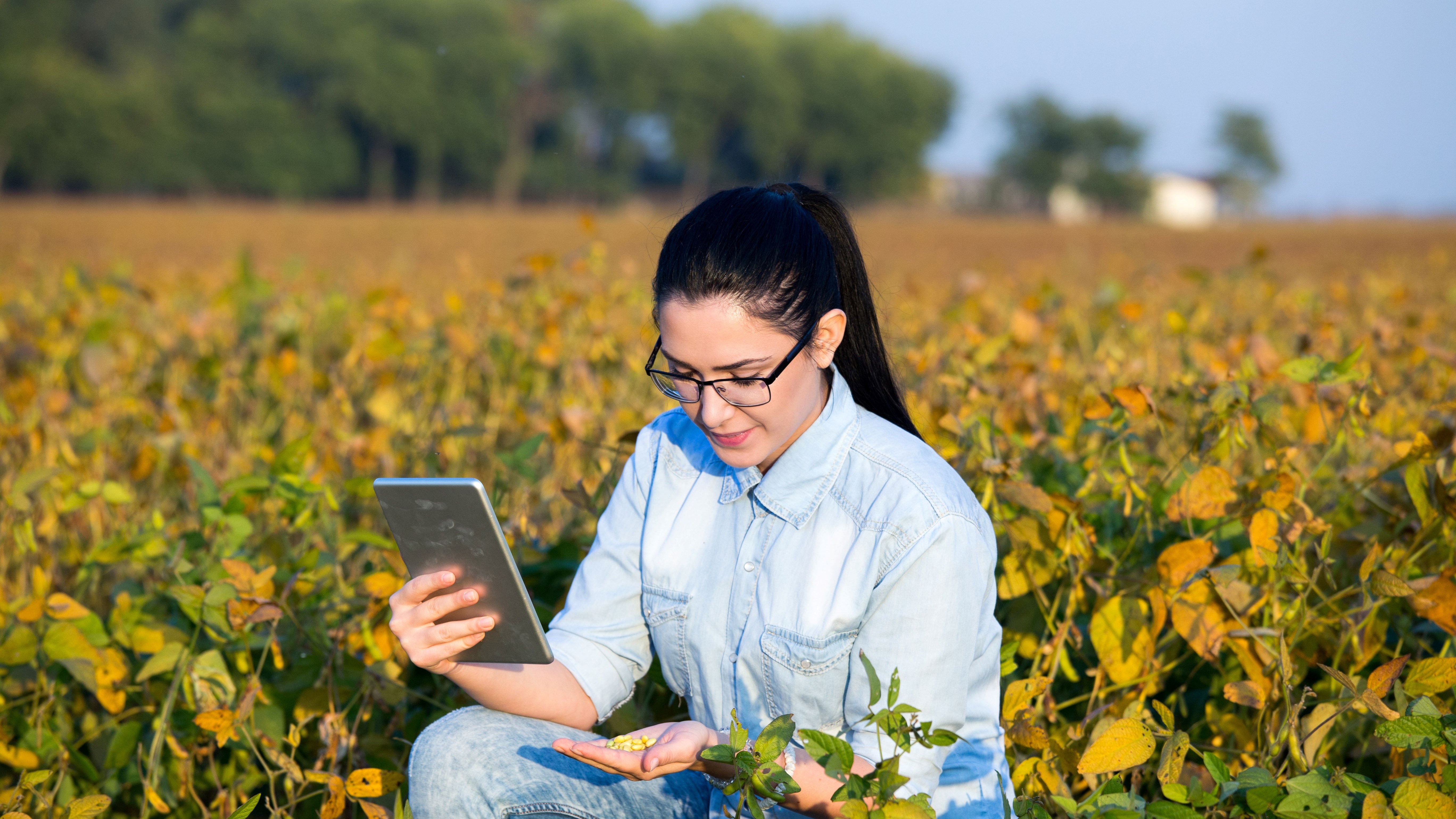 Woman kneeling in soy field looking at a computer tablet