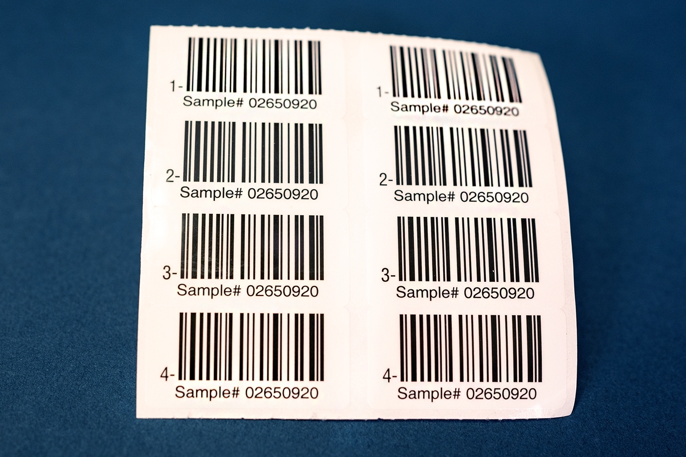 BSE Bard Code Labels