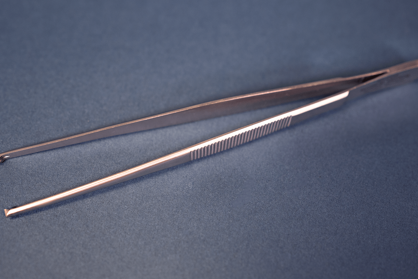 Instruments - Forceps Rat Tooth