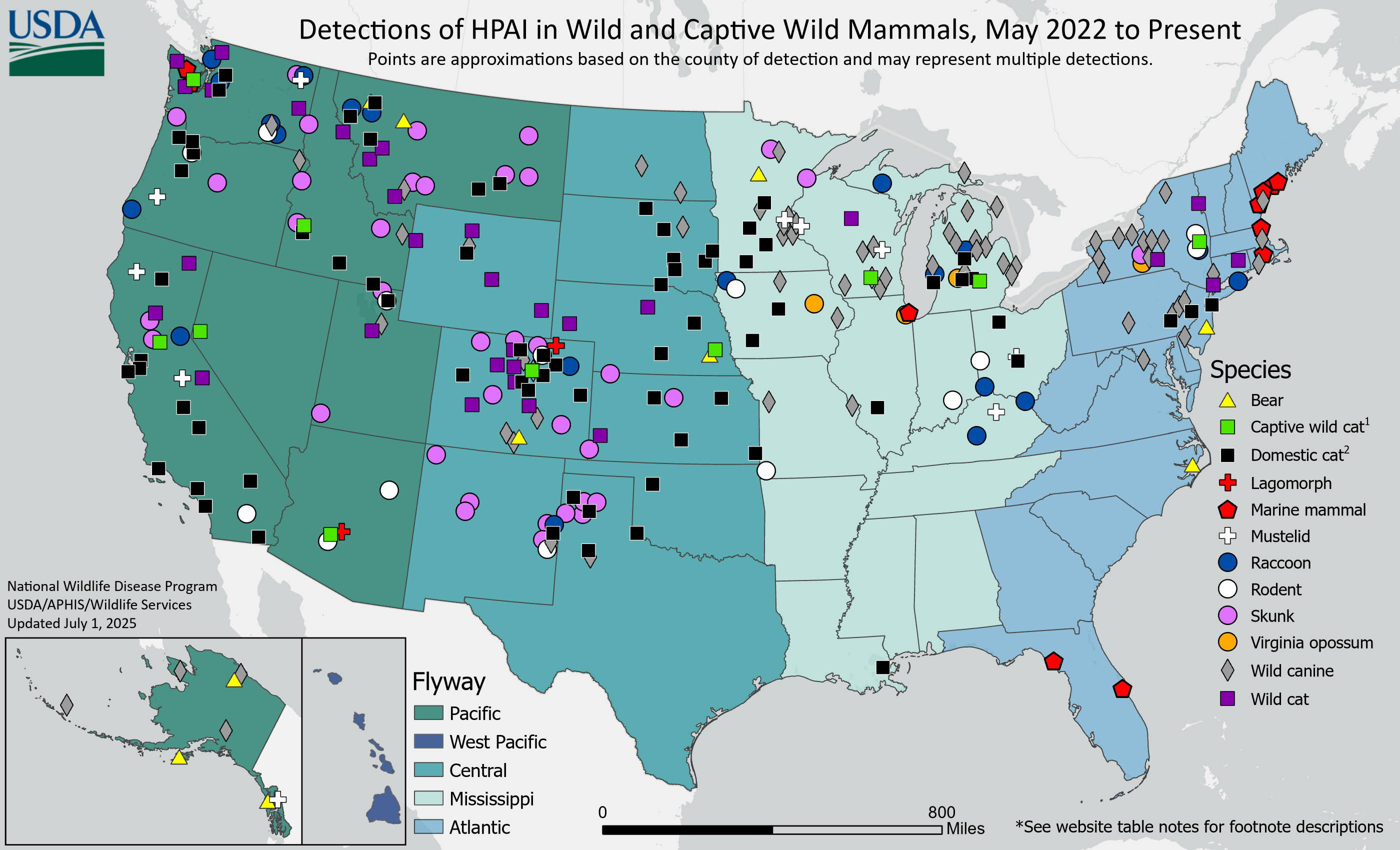 Detections of HPAI in Wild Mammals HPAI Mammals map