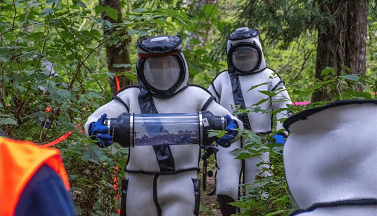 aia-ngh-2.png two people in protective suits eradicating hornet nests