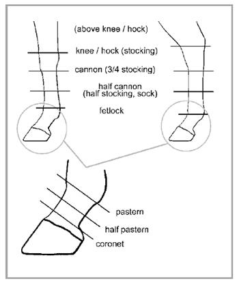 BLM Freeze Mark Alpha Angle Code BLM Freeze Mark Alpha Angle Code