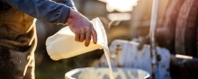 farmer pouring milk from one container into another