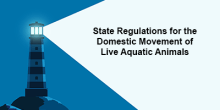 Lighthouse with the words State Regulations for the Domestic Movement of Live Aquatic Animals