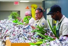 People inspecting plants