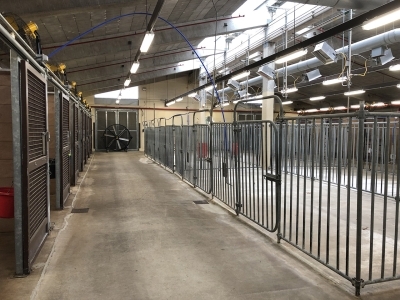 inside of equine barn at New York Animal Import Center