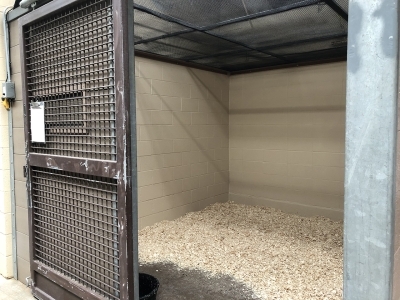 inside of a pigeon import stall at New York Animal Import Center